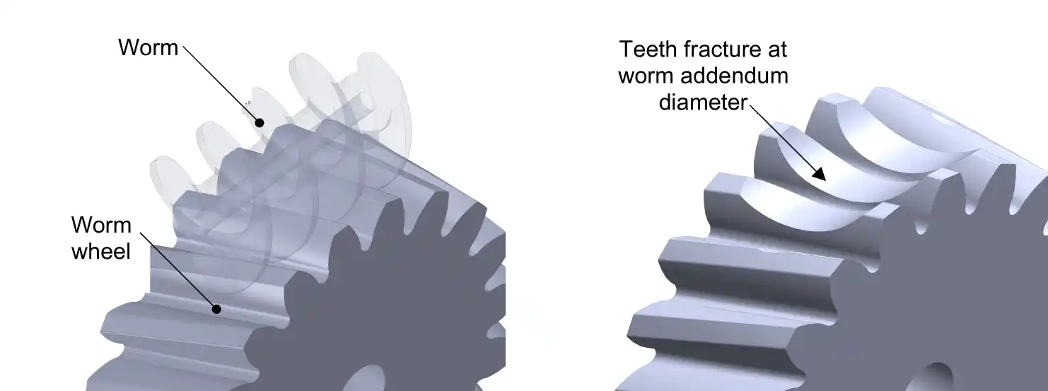 Worm wheel teeth fracture at addendum diameter